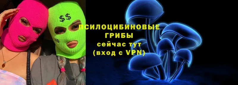 Псилоцибиновые грибы Cubensis  Лермонтов 